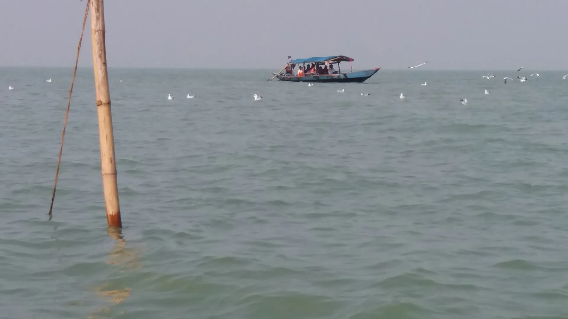 Chillika lake
